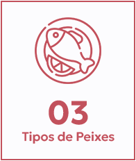 3 Opções de Peixes